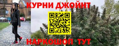 амф Можга