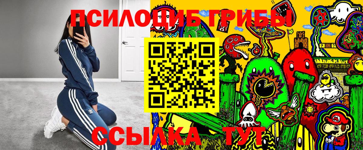 Галлюциногенные грибы MAGIC MUSHROOMS  Псилоцибиновые грибы ЛСД  купить наркоту  Черкесск 