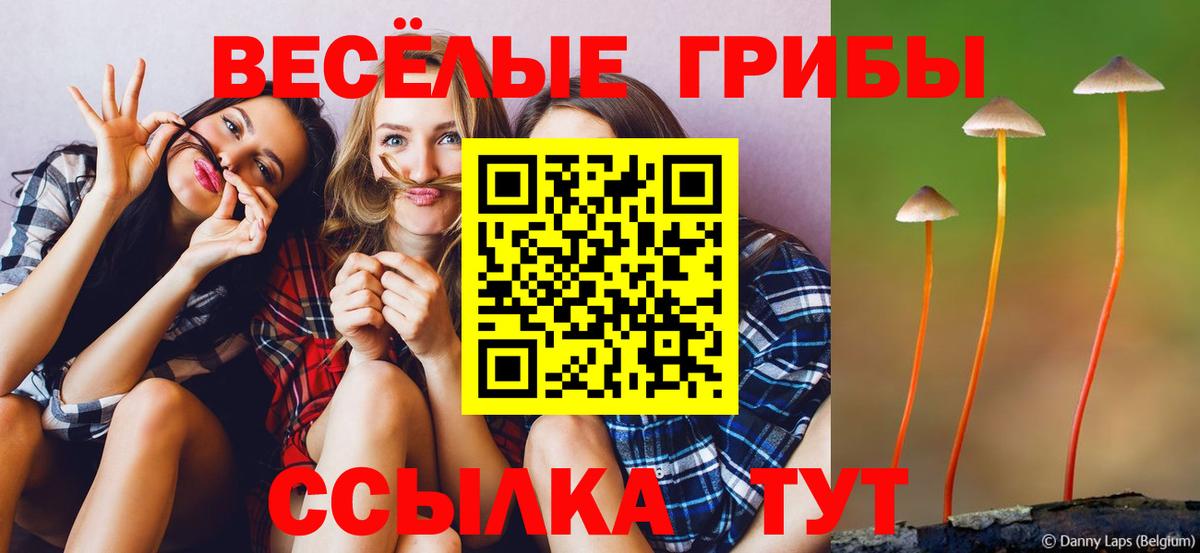 Псилоцибиновые грибы Psilocybine cubensis  Вход с VPN  Галлюциногенные грибы MAGIC MUSHROOMS  Черкесск 