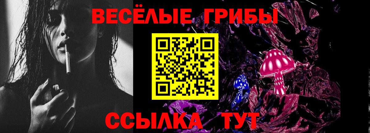 Галлюциногенные грибы Psilocybe Черкесск